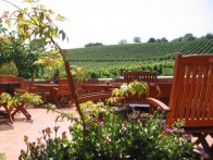 HOTEL ZDJELAREVIĆ***, BRODSKI STUPNIK