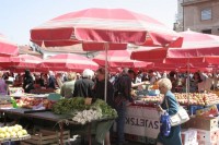 VJEKOSLAV HEINZEL (1871 – 1934)