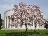 MEŠTROVIĆEV PAVILJON - DOM HRVATSKIH LIKOVNIH UMJETNIKA