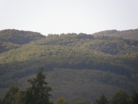 POSEBNI REZERVAT ŠUMSKE VEGETACIJE MUŠKI BUNAR