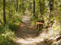 LJUBAVNA CESTICA U CRIKVENICI