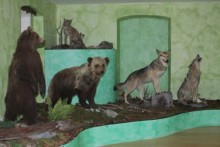 KAŠTEL ZRINSKIH - STALNI POSTAV ŠUMARSTVA, LOVSTVA I RIBOLOVA, BROD NA KUPI