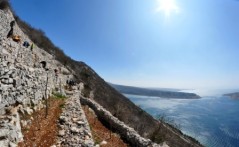 STARA BAKARSKA VODICA - PRIRODNO PJENUŠAVO VINO