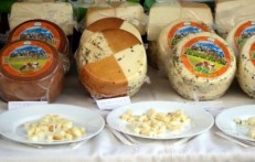 CESTA SIRA KARLOVAČKE ŽUPANIJE