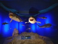 PRIRODOSLOVNI MUZEJ RIJEKA