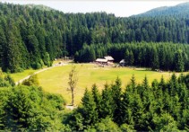 PARK ŠUMA GOLUBINJAK