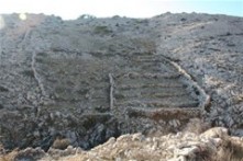 BAŠĆANSKE ŠETNICE